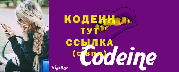 apvp Кукмор