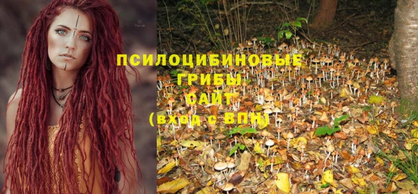 apvp Кукмор
