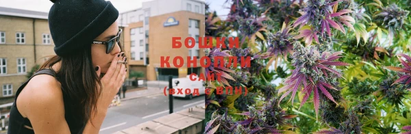 apvp Кукмор