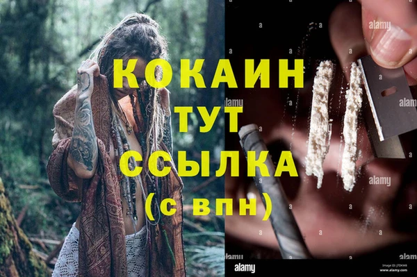 apvp Кукмор