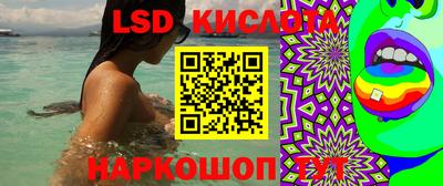 шишки Славянск-на-Кубани