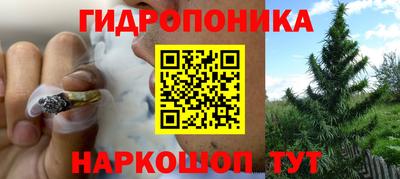 гидра Ипатово