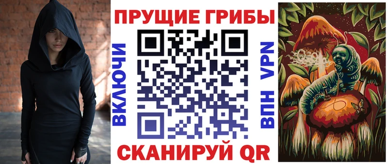 Псилоцибиновые грибы Psilocybe  Куйбышев 