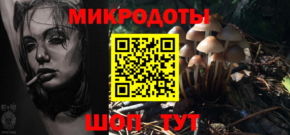 Галлюциногенные грибы GOLDEN TEACHER  Галлюциногенные грибы GOLDEN TEACHER  Куйбышев  Вход с VPN 